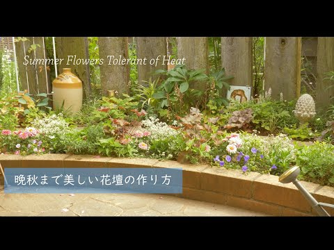 深紅色の花で劇的に変わるガーデンデザイン！プロが選ぶおすすめ5選