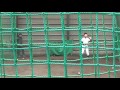 高知ボーイズ