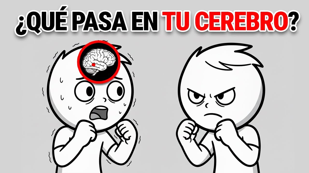 Lo Que Se Siente Pelear Por Primera Vez (Según la ciencia)