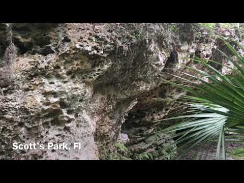 Gut Punch v3 Bouldering First Ascent