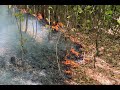 Waldbrand auf 6.500 Quadratmetern in Stuttgart-Rohracker