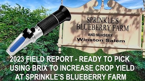 Refractometer monitors BRIX level for improved Blueberry production