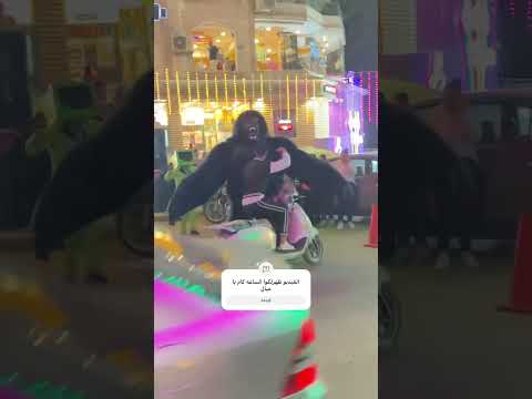 اما تبقي تعبان علي العصر وتنام وتحلم اكسبلور باندا مهرجانات ترند الغوريلا