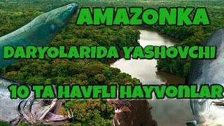 AMAZONKA daryolarida yashovchi 10 ta havfli hayvonlar