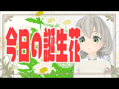 【花言葉】１２月２４日の誕生花は？／花白もか