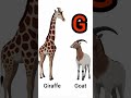 animals for kids,AtoZ animals names, kids learning educational video,learn animals name in easy way