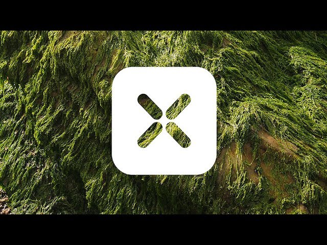 Baths - "Extrasolar" (Official Lyric Video) adlı videoyu YouTube'da izle Baths - "Extrasolar" (Official Lyric Video) adlı videoyu YouTube'da izle