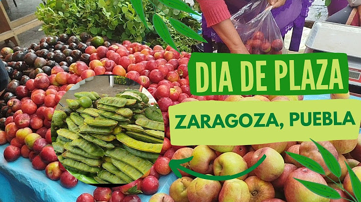 THIS IS A DAY AT THE PLAZA IN ZARAGOZA, PUEBLA | THIS IS WHAT WE FOUND