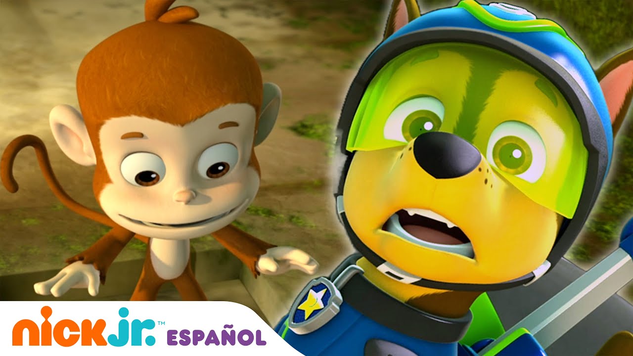 Paw Patrol, Patrulla de cachorros, ¡35MIN de lo mejor de Skye!