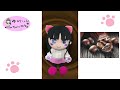 ゆかにゃんチャンネル#45「ハッピーバレンタイン!チョコをちょこっと」