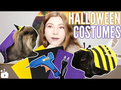 Video: How To Make A Hare Costume