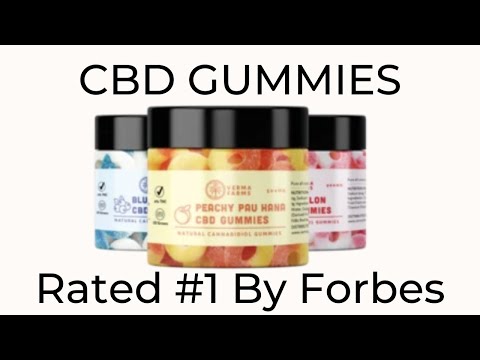 Most glorious Cbd Gummies For Fright And Stress Contemporary York thumbnail