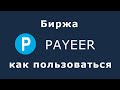 Биржа Payeer - как пользоваться, как выгодно обменивать валюту через платёжную систему Пайер