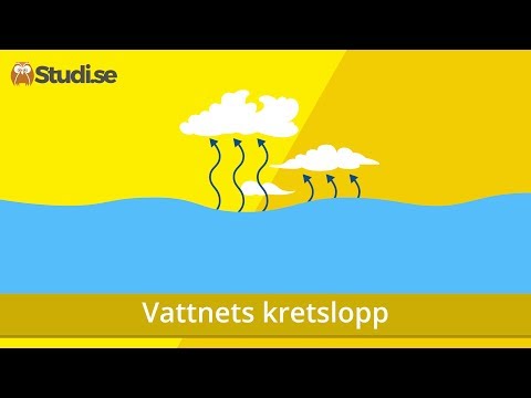 Video: Vad är vattnets kretslopp BBC Bitesize?