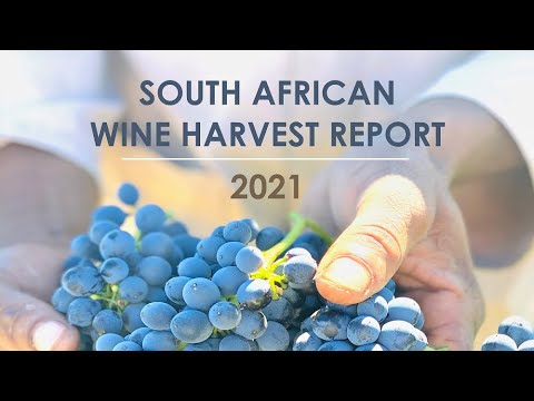 South African Wine Harvest Report 2021