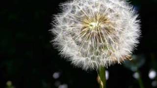 Abraham-Hicks: Is This From My Inner Being?
