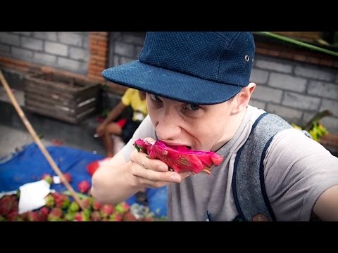Felix Zenger Beatbox Tour | Vlog #3