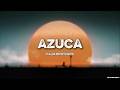 Palm Brothers - Azuca