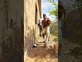 Shorts Funny Comedy Shorts Funny Comedy