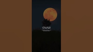 قران كريم|حالات واتساب|ماتيسر من"سورة النازعات"الايه(١-١٢)القارئ اسلام صبحي❤️
