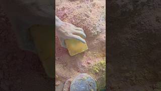 white and yellow beauty #oddlysatisfying #youtube #relax