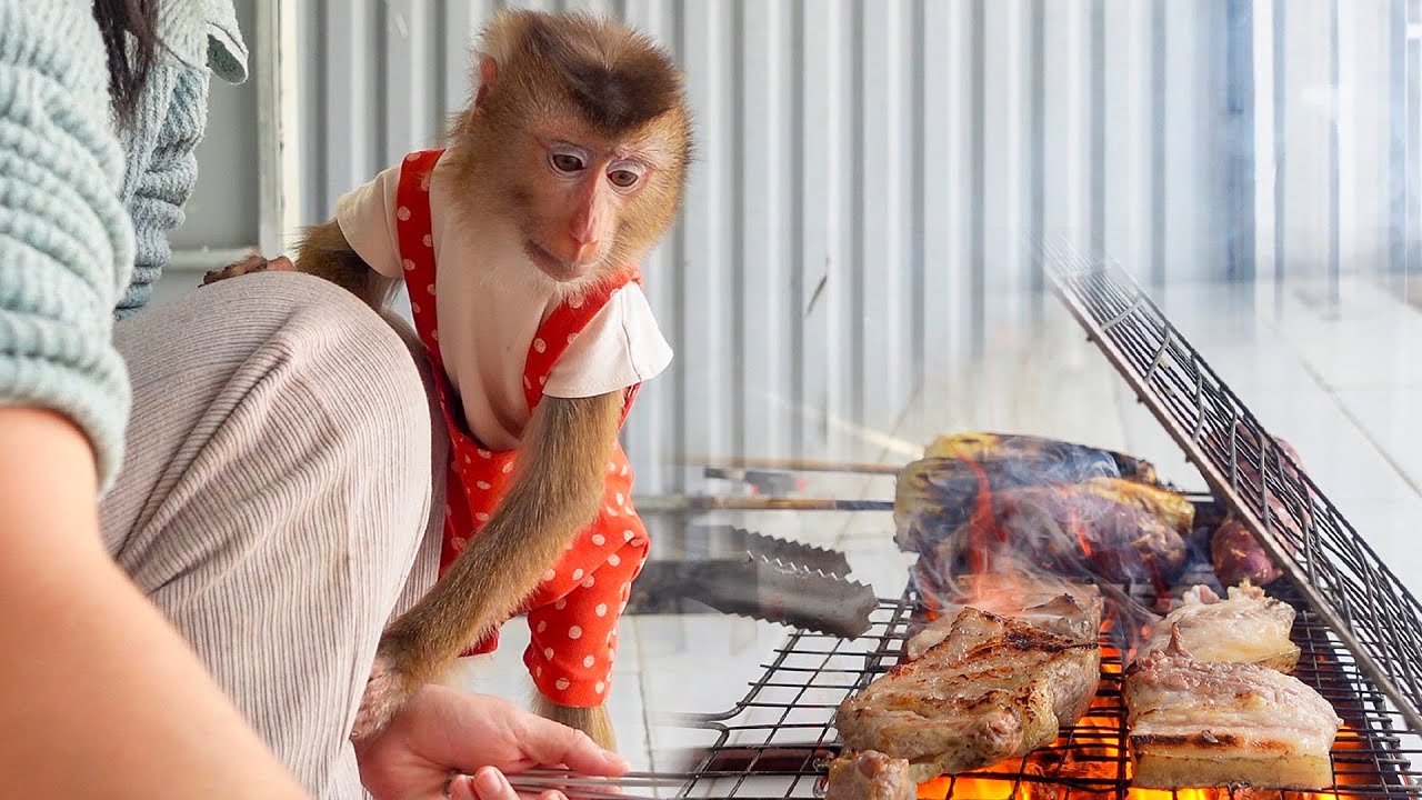 Pupu Monkey Helps Mom with an Outdoor BBQ