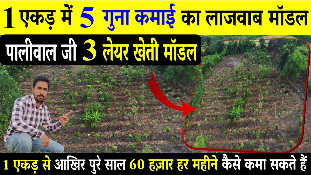 1 एकड़ में खेती के इस मॉडल से सालाना 6-8 लाख कैसे कमाए | 3 Layer ...