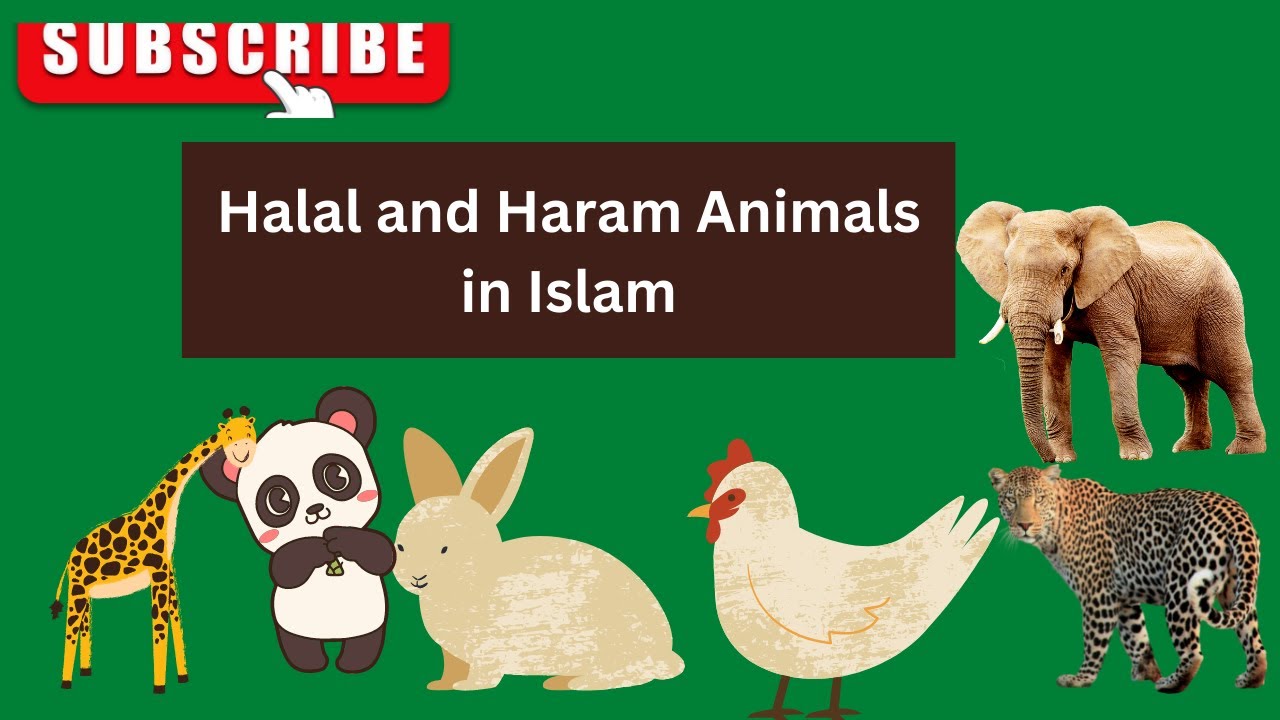 what are Halaal and Haram animals in Islam/ Halaal and Haram animals in Islam in 2023