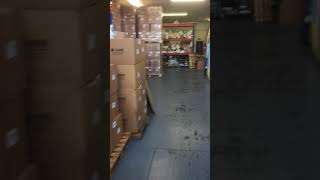 IMG 4884