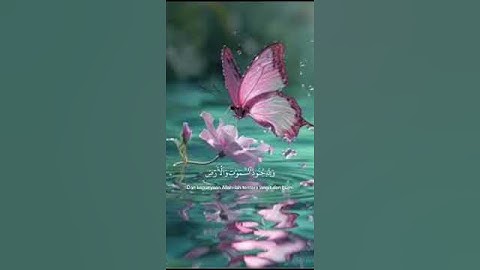 سورة الفتح -4-هوالذي انزل السكينة في قلوب المؤمنين ليزدادوايمانا مع ايمانهم