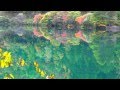 Jiuzhaigou valleysichuanthe most beautiful lakes in the world full