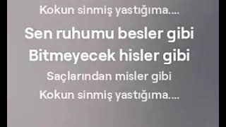 Kokun Sinmiş Yastığıma Söz:günseli Gürcan Sakizli Beste:yapay Zeka