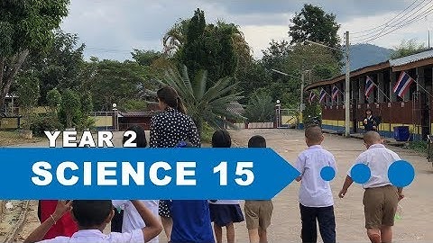 Year 2 Science, Lesson 15, Review Differences Between Plants & Animals