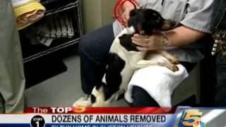 Dozens of Animals Rescued