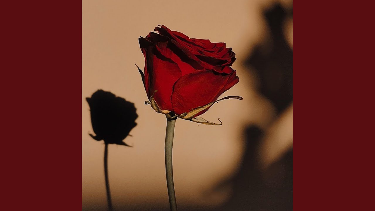 Watch Rose on YouTube Watch Rose on YouTube