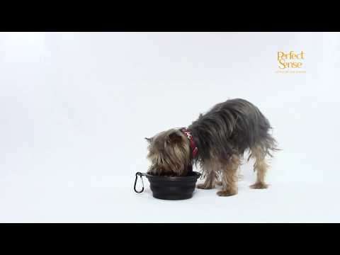 Video: Cómo Cambiar Rápidamente La Marca De Comida De Su Perro