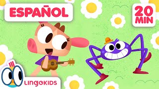 LA ARAÑA ITSY BITSY  + Canciones infantiles | Lingokids en Español