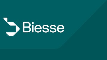 Biesse Company