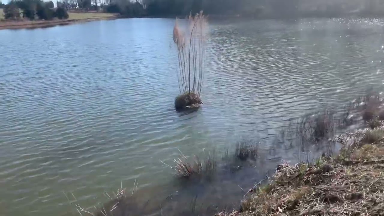 انشاء بحيره خاصه بي،كيف ولماذا