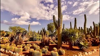 Explore the Hidden Gem of Botanicactus Ses Salines Mallorca