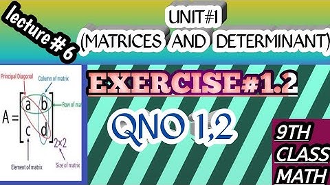 lecture 6|maths|9th FEDERAL BOARD |exercise 1.2|Qno 1,2