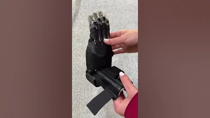 (2)Penelope Anderson - Phoenix Hand v2