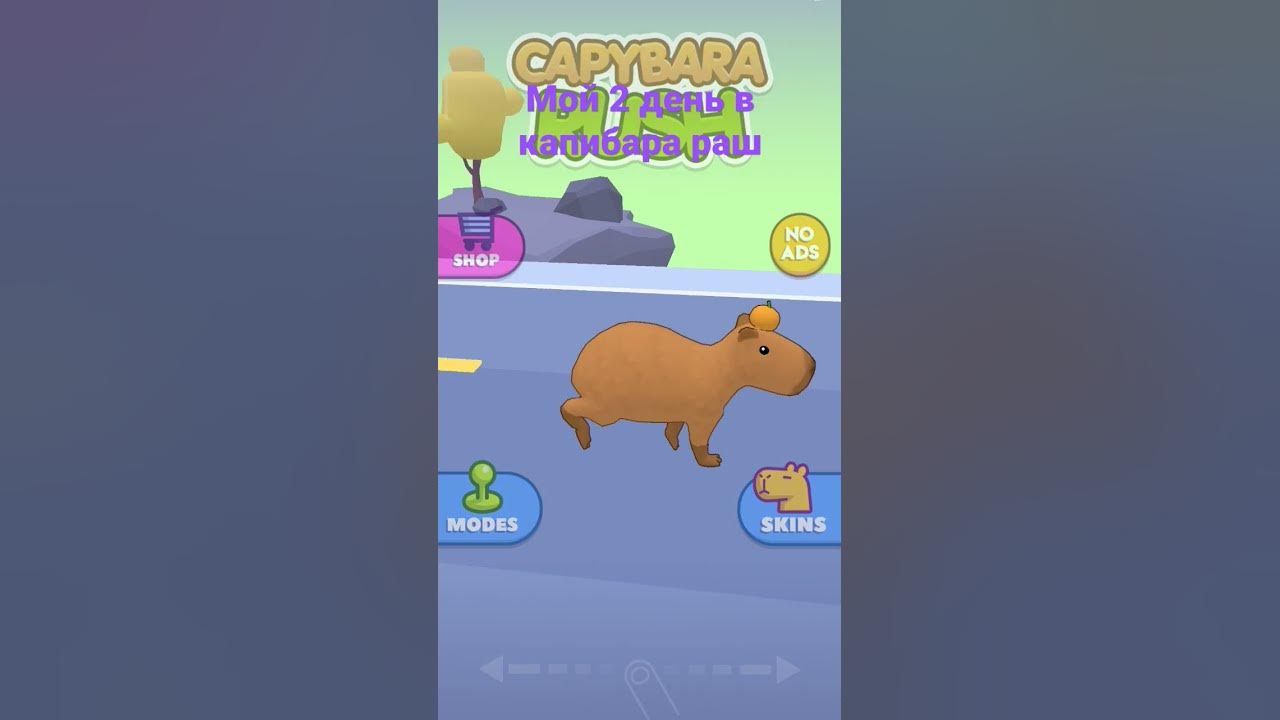 капибара #милота #capybara - YouTube
