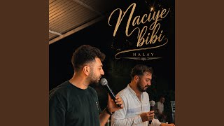 Yusuf Albayrak - Samet Altunkaynak 2025 Halay (Naciye Bibi - Kaynana - Oy Gülseren)
