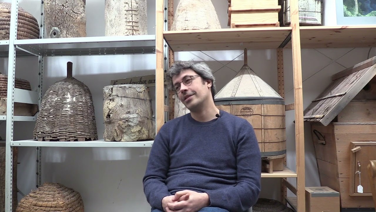 Cap Vert : génétique des populations au prisme de l'histoire et de la linguistique - Paul Verdu Ep 2