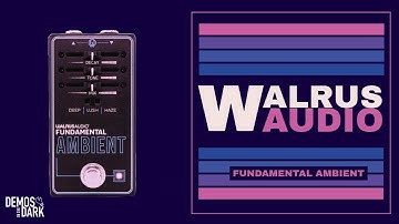 Walrus Audio Fundamental Ambient // Reverb Pedal Demo