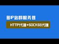 http代理+socks5代理多ip站群服务器设置教程