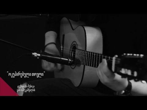 გიო ძამუკაშვილი - ოკუპირებული თოვლი