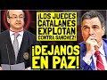 ¡EL PRESIDENTE del TSJ de CATALUÑA EXPLOTA contra PEDRO SÁNCHEZ y la AMNINISTÍA a los GOLPISTAS!