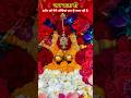 माँ नैना देवी दर्शन 🙏 #vaishnomaakapyara #maa #nainadevitemple #jaimatadi #shorts #bhajan #ytshorts